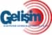 Gelisim Guvenlik Sistemleri