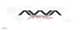Avva Gr64-