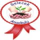 Gelecek Anaokulu
