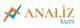 Analiz Kurs