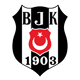 BUYUKCEKMECE BESIKTAS FUTBOL OKULU