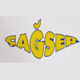 CAGSER GRUOP