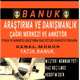 Banuk Arastirma ve Danismanlik