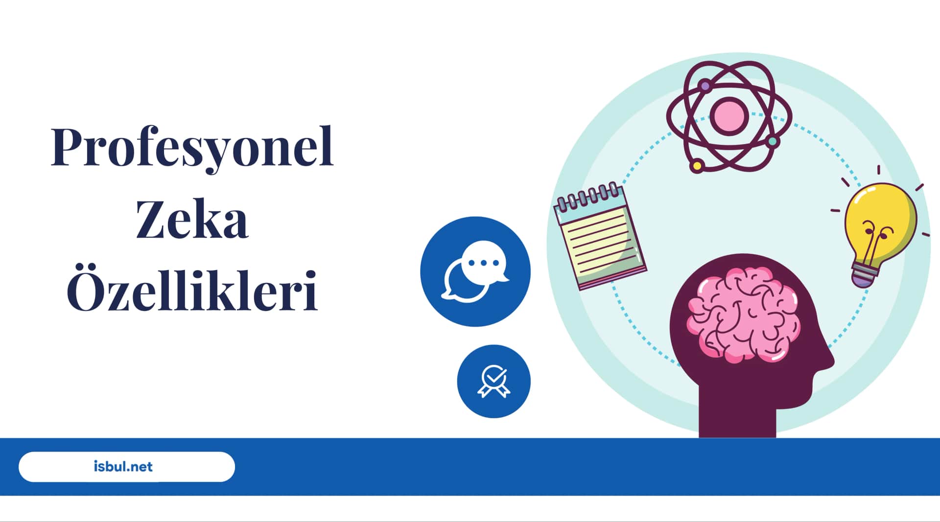 Profesyonel Zeka Özellikleri Profesyonel Zeka Ozellikleri