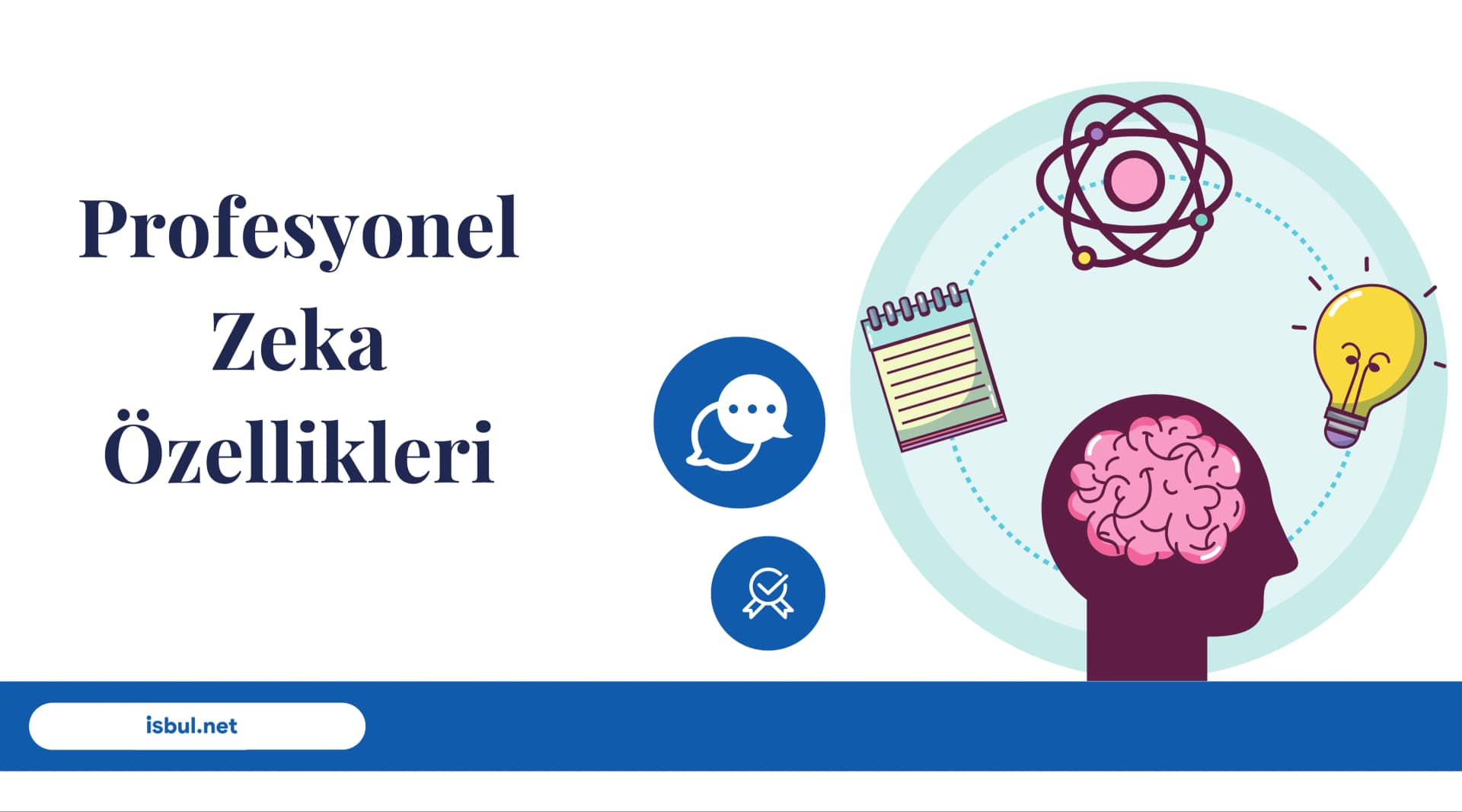Profesyonel Zeka Özellikleri Profesyonel Zeka Ozellikleri