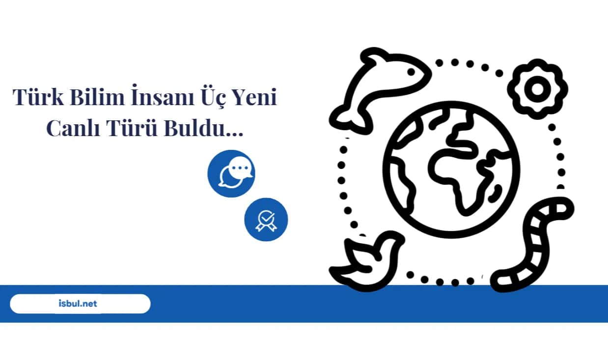 Türk Bilim İnsanı Üç Yeni Canlı Türü Buldu… Turk Bilim Insani Uc Yeni Canli Turu Buldu…