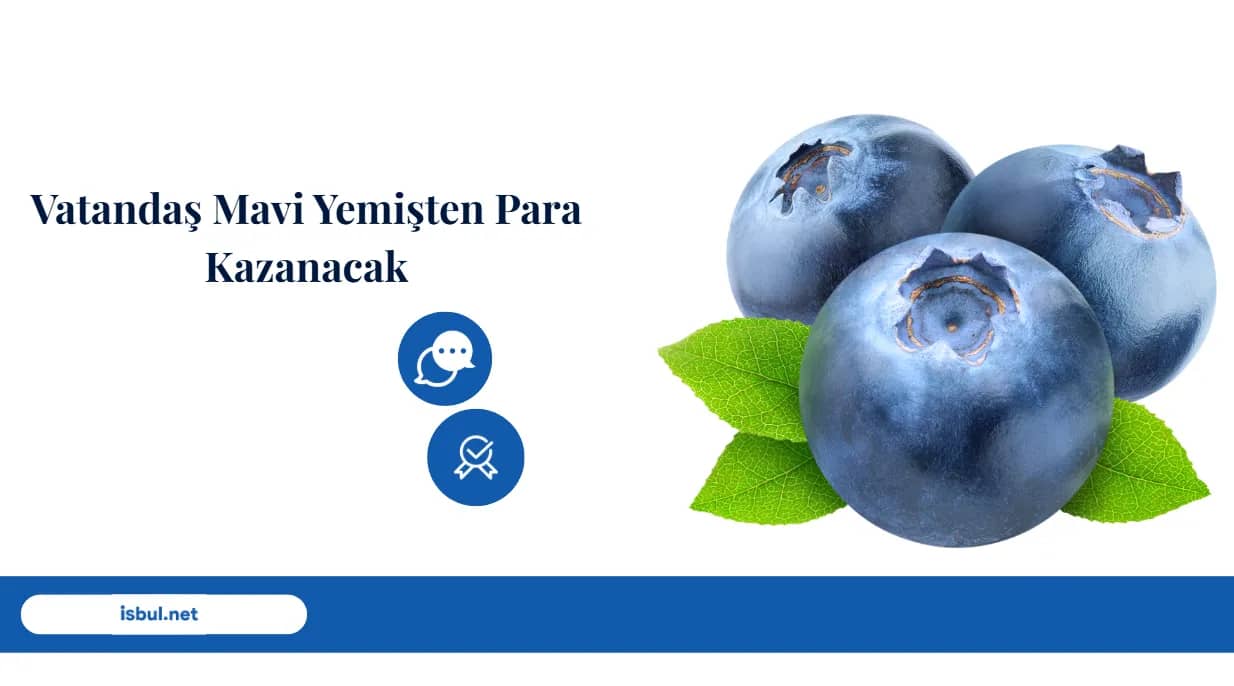 Vatandaş Mavi Yemişten Para Kazanacak Vatandas Mavi Yemisten Para Kazanacak