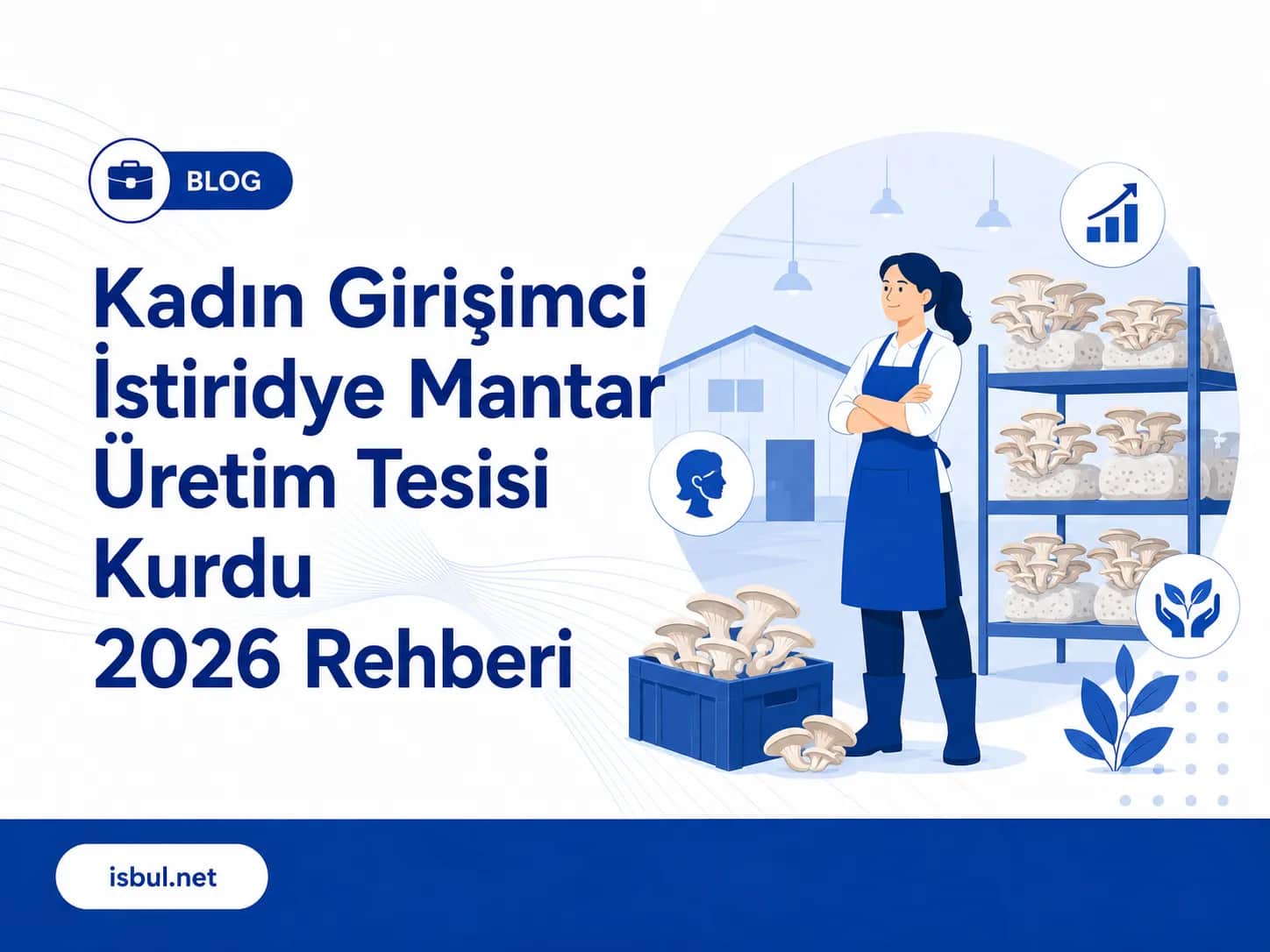 Kadın Girişimci İstiridye Mantar Üretim Tesisi Kurdu | 2026 Rehberi | isbul.net Kadin Girisimci Istiridye Mantar Uretim Tesisi Kurdu | 2026 Rehberi | isbul.net