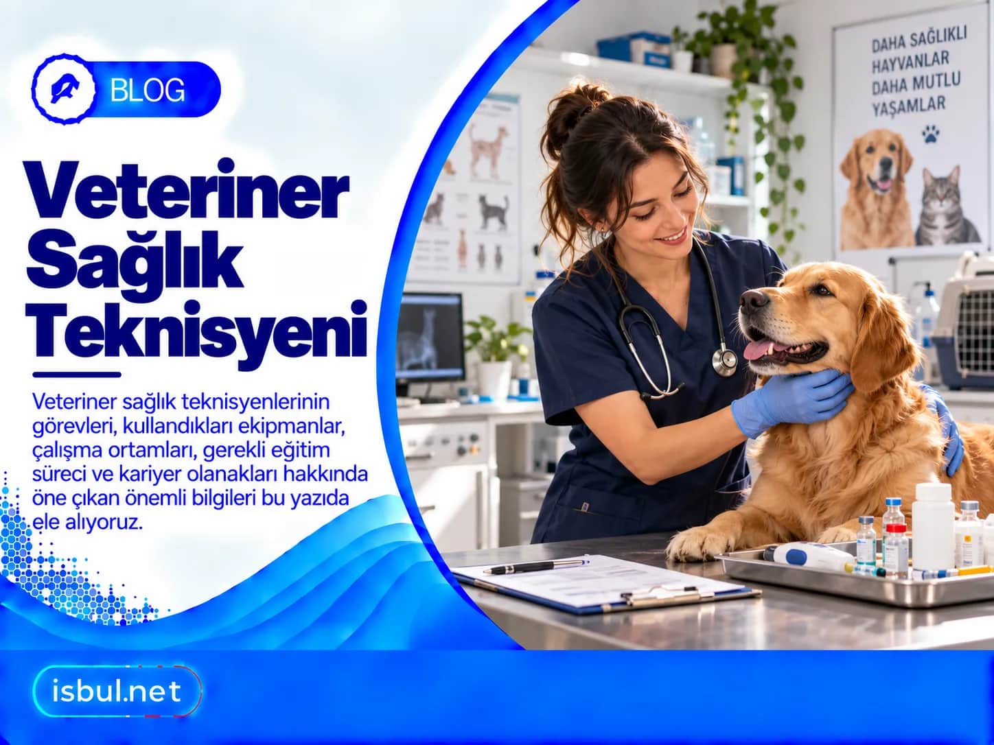 Veteriner Sağlık Teknisyeni Veteriner Saglik Teknisyeni