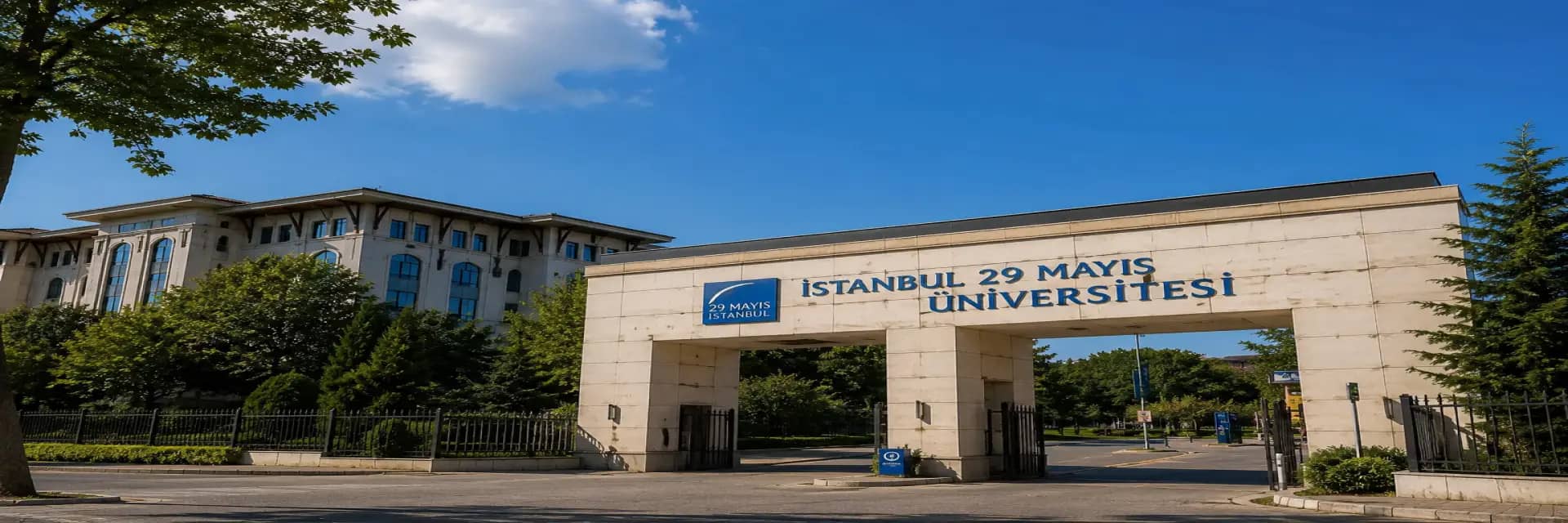 Istanbul 29 Mayis Universitesi kapak gorseli