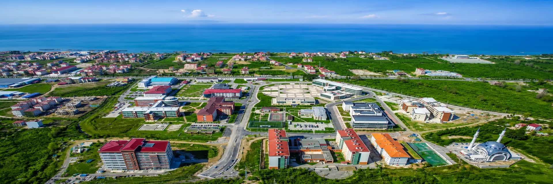 Ordu Universitesi kapak gorseli