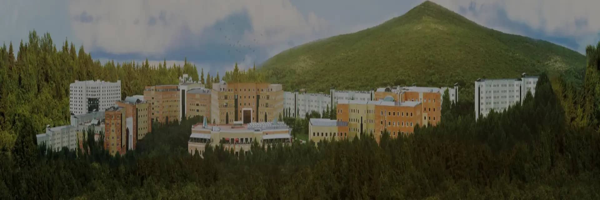 Yeditepe Universitesi kapak gorseli