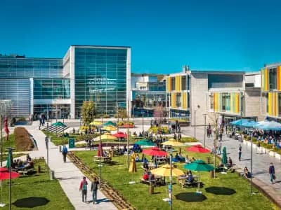 Ozyegin Universitesi kampus gorseli