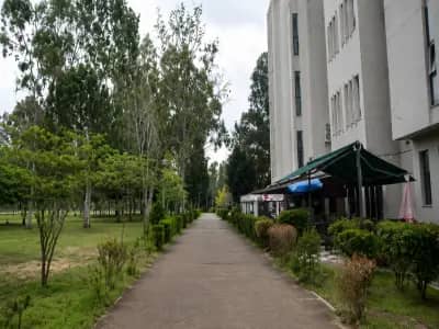 Cukurova Universitesi Kampus Ici