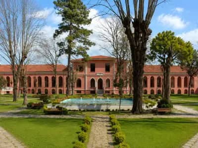 Bezmialem Vakif Universitesi