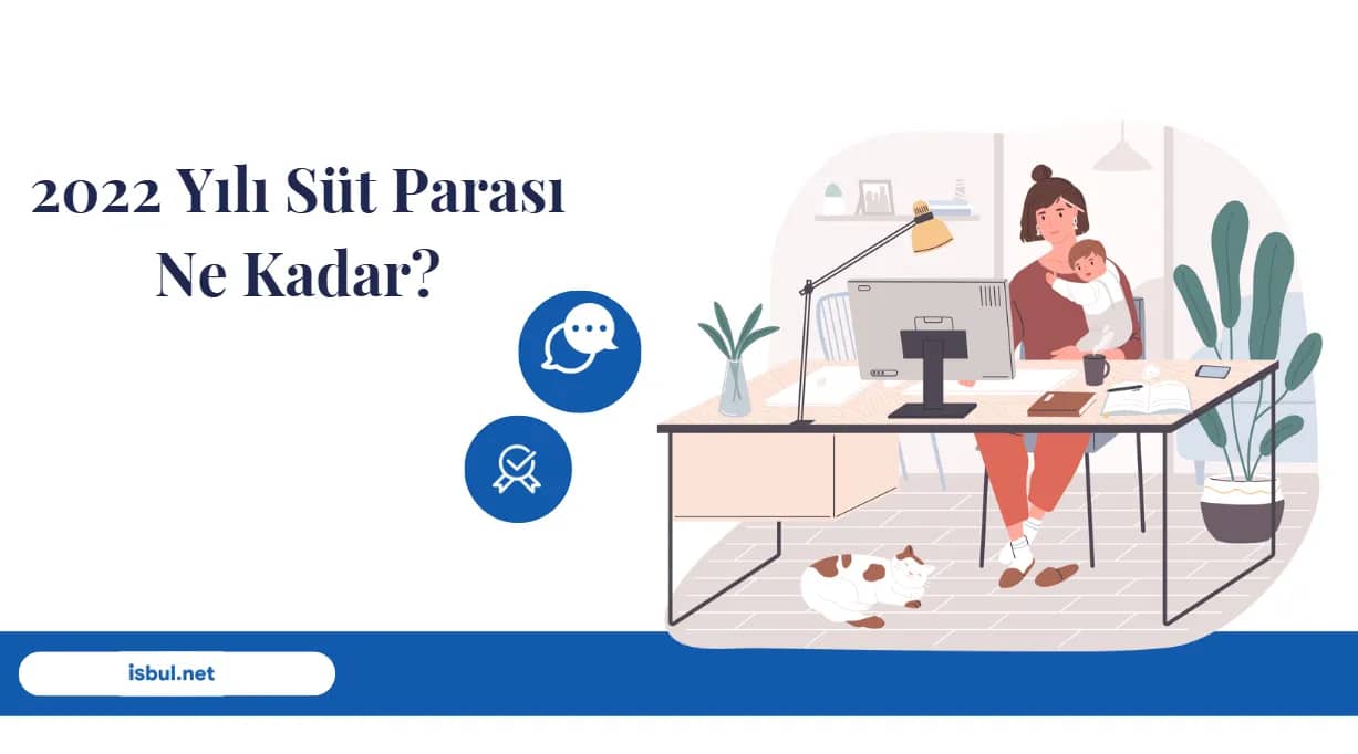 Haberler 2022 Yılı Süt Parası Ne Kadar? Haberler 2022 Yılı Süt Parası Ne Kadar?